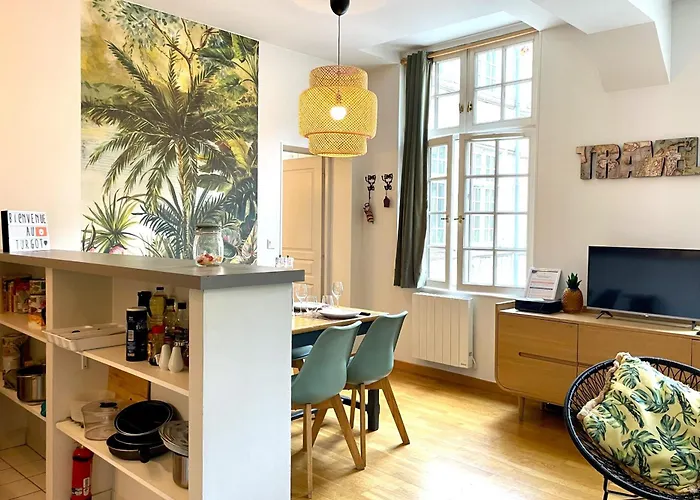 Διαμέρισμα Turgot - Ancien Particulier - Lumineux *